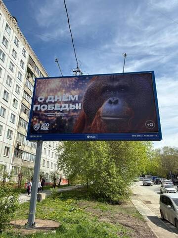 https://upforme.ru/uploads/000f/a0/99/259/t272135.jpg