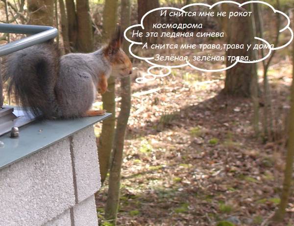 https://upforme.ru/uploads/000f/a0/99/259/t303871.jpg