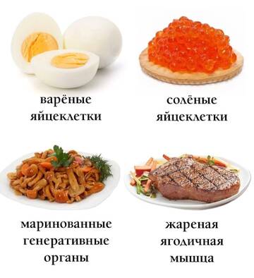 https://upforme.ru/uploads/000f/a0/99/259/t392055.jpg