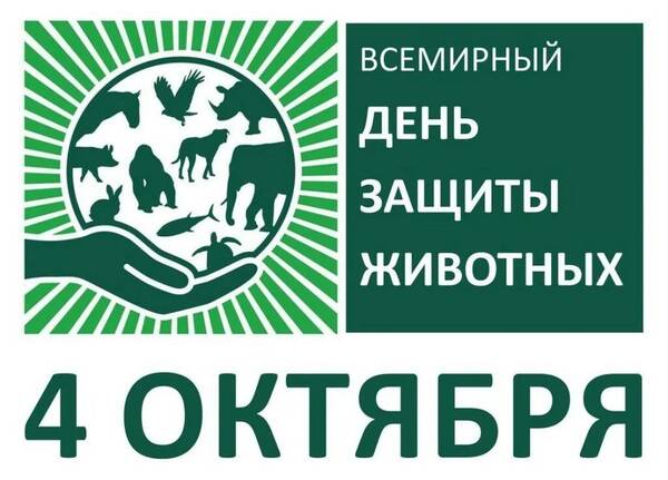 https://upforme.ru/uploads/000f/a0/99/259/t496154.jpg