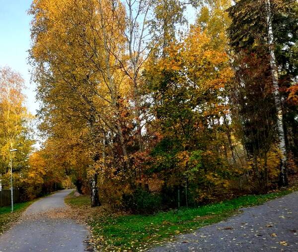 https://upforme.ru/uploads/000f/a0/99/259/t719653.jpg