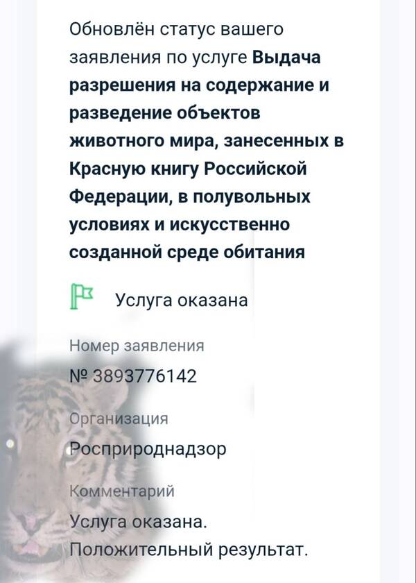 https://upforme.ru/uploads/000f/a0/99/259/t762663.jpg