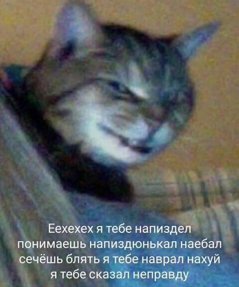 https://upforme.ru/uploads/000f/a0/99/259/t779984.jpg