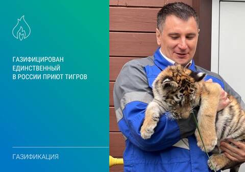 https://upforme.ru/uploads/000f/a0/99/259/t847695.jpg