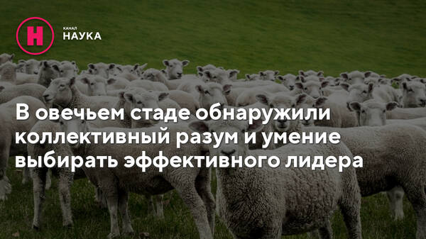 https://upforme.ru/uploads/000f/a0/99/259/t849557.jpg