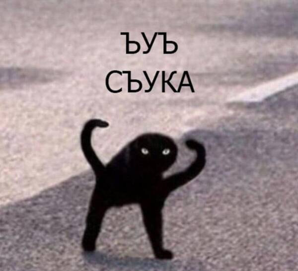 https://upforme.ru/uploads/000f/a0/99/472/t37724.jpg