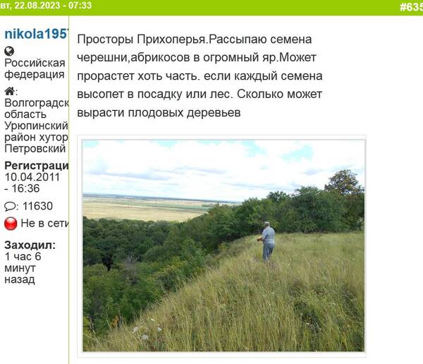 https://upforme.ru/uploads/000f/a0/99/472/t449697.jpg