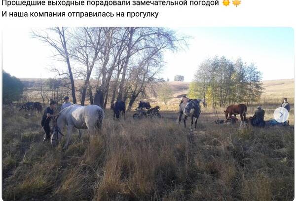 https://upforme.ru/uploads/000f/a0/99/472/t59563.jpg