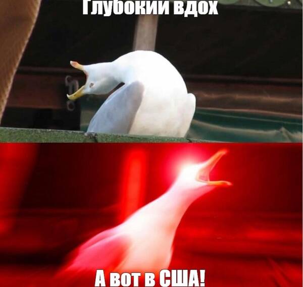 https://upforme.ru/uploads/000f/a0/99/472/t769749.jpg