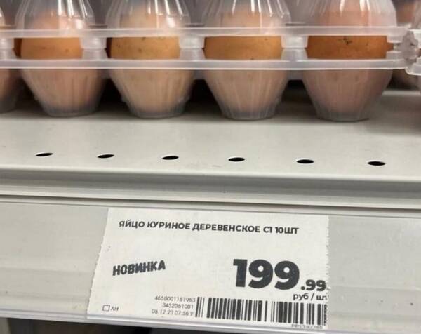 https://upforme.ru/uploads/000f/a0/99/472/t828795.jpg