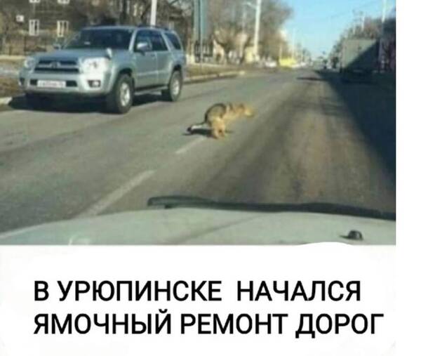 https://upforme.ru/uploads/000f/a0/99/472/t835694.jpg