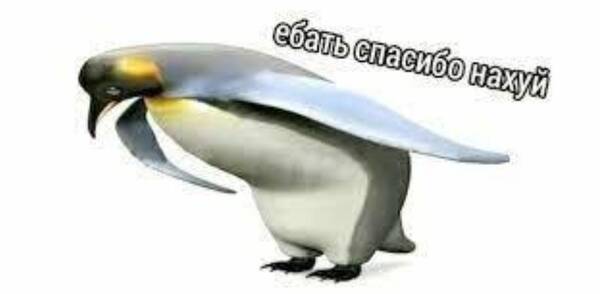 https://upforme.ru/uploads/000f/a0/99/472/t880024.jpg