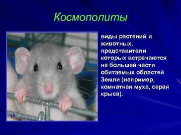 https://upforme.ru/uploads/000f/a0/99/575/t658981.jpg
