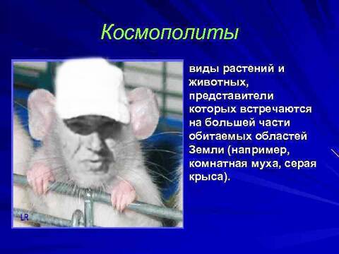 https://upforme.ru/uploads/000f/a0/99/575/t702736.jpg