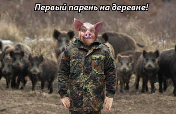 https://upforme.ru/uploads/000f/a0/99/575/t91075.jpg