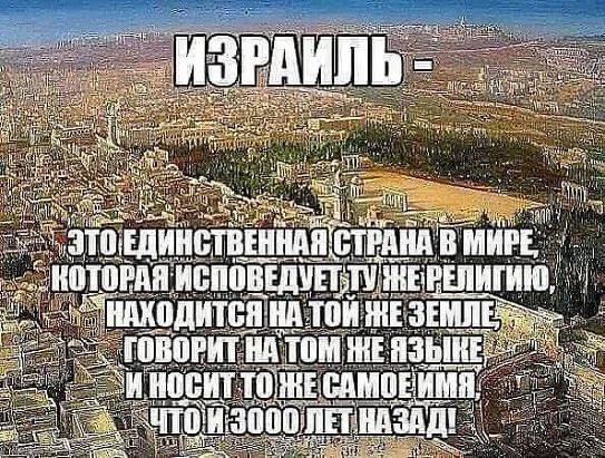 https://upforme.ru/uploads/000f/a0/99/590/t248345.jpg