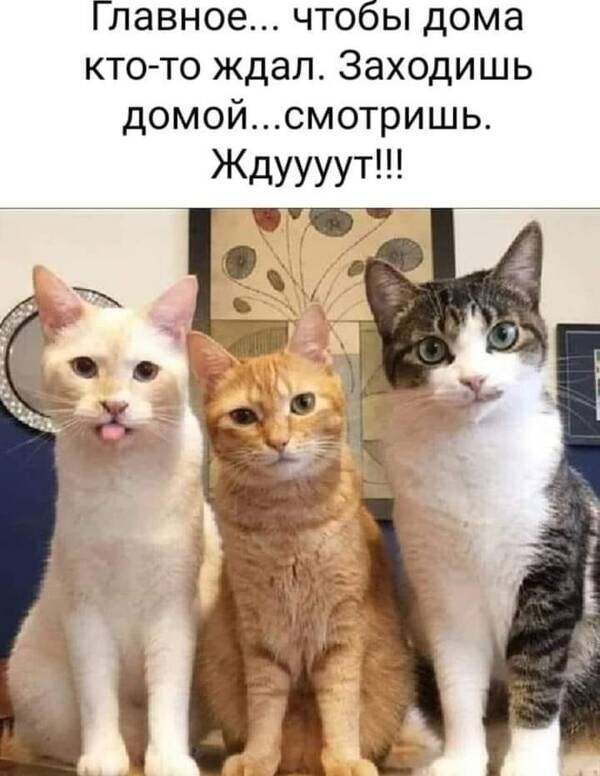 https://upforme.ru/uploads/000f/a0/99/590/t279314.jpg