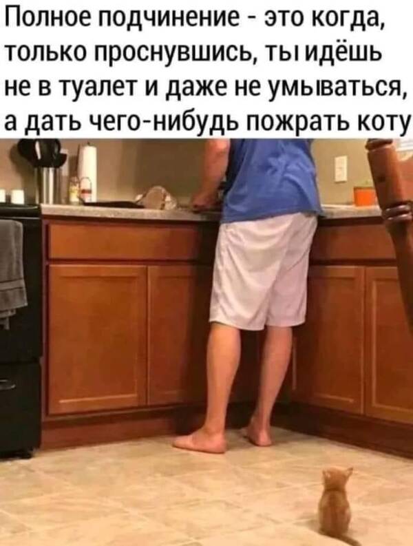 https://upforme.ru/uploads/000f/a0/99/590/t295300.jpg