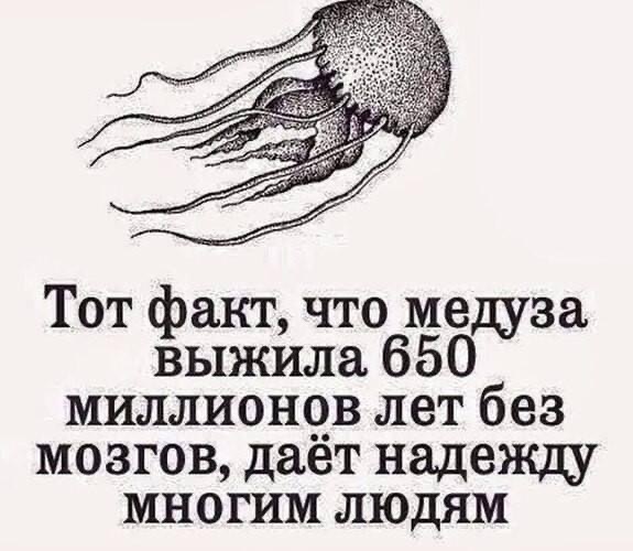 https://upforme.ru/uploads/000f/a0/99/590/t30943.jpg