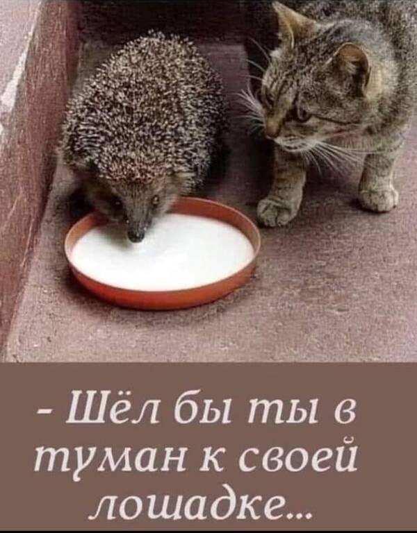 https://upforme.ru/uploads/000f/a0/99/590/t350840.jpg