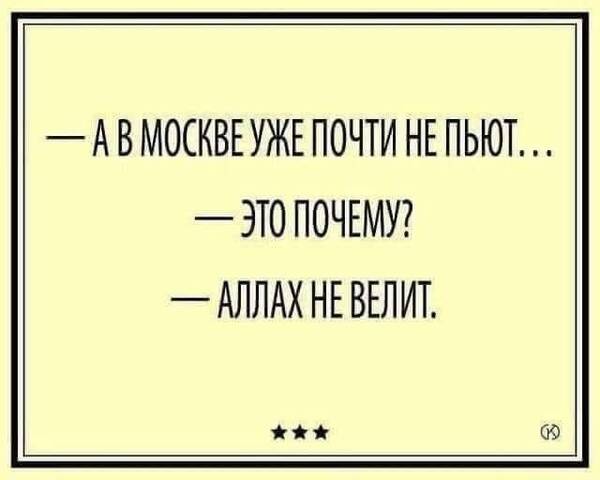 https://upforme.ru/uploads/000f/a0/99/590/t371522.jpg