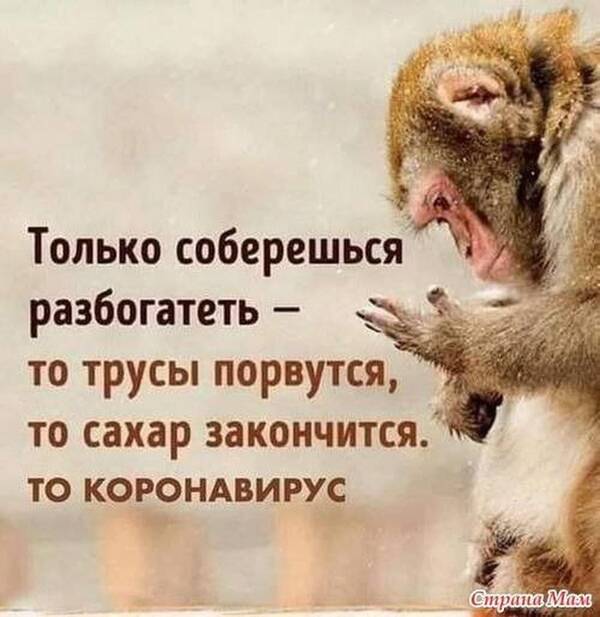 https://upforme.ru/uploads/000f/a0/99/590/t423845.jpg