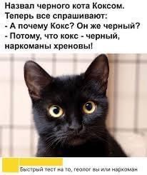 https://upforme.ru/uploads/000f/a0/99/590/t488442.jpg