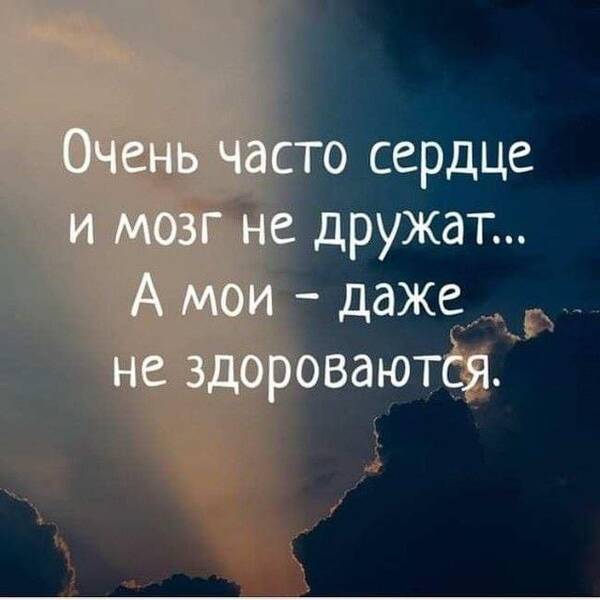 https://upforme.ru/uploads/000f/a0/99/590/t503247.jpg