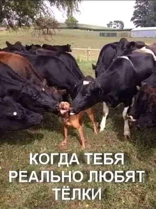 https://upforme.ru/uploads/000f/a0/99/590/t829511.jpg