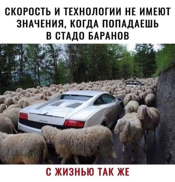 https://upforme.ru/uploads/000f/a0/99/590/t852271.jpg