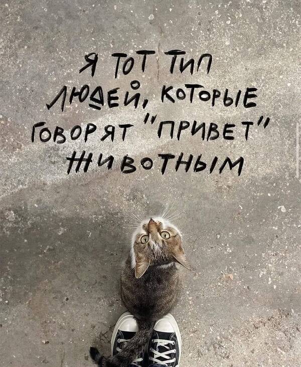 https://upforme.ru/uploads/000f/a0/99/590/t924177.jpg