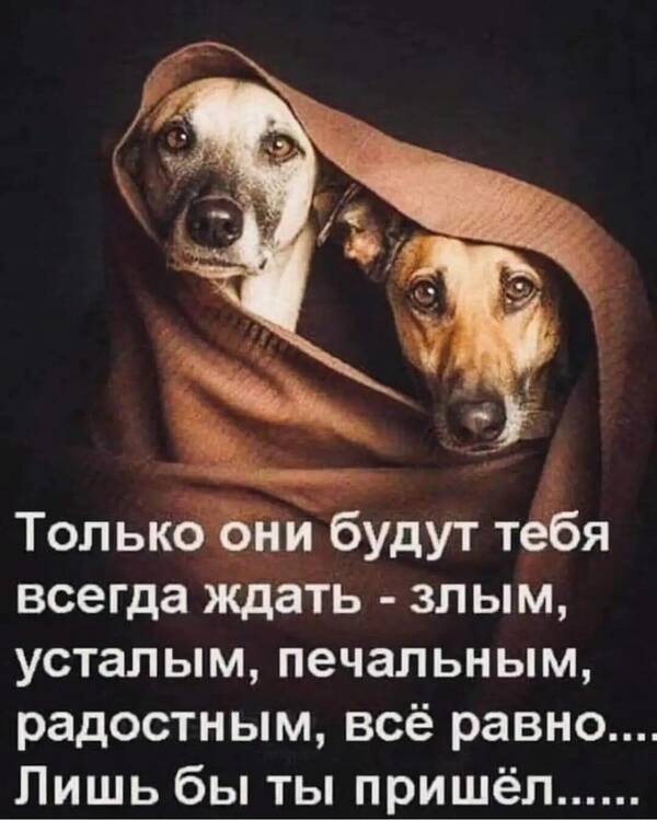 https://upforme.ru/uploads/000f/a0/99/590/t979229.jpg