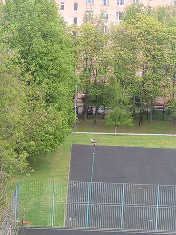 https://upforme.ru/uploads/000f/a0/99/84/t441103.jpg
