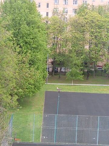 https://upforme.ru/uploads/000f/a0/99/84/t503173.jpg