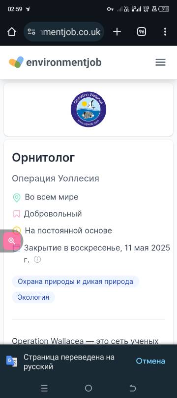 https://upforme.ru/uploads/000f/a0/99/84/t995046.jpg