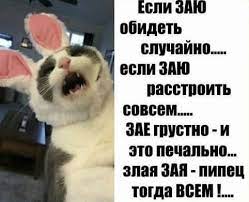 https://upforme.ru/uploads/000f/a0/99/86/125572.jpg