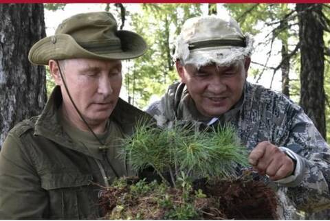 https://upforme.ru/uploads/000f/a0/99/86/t364962.jpg