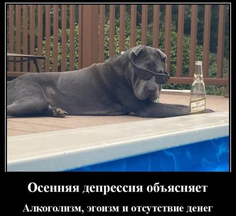 https://upforme.ru/uploads/000f/a0/99/86/t556240.jpg