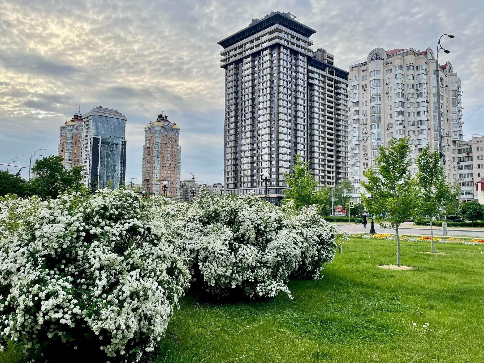 https://upforme.ru/uploads/000f/a0/99/91/119879.jpg