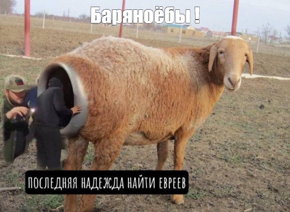 https://upforme.ru/uploads/000f/a0/99/91/226444.jpg