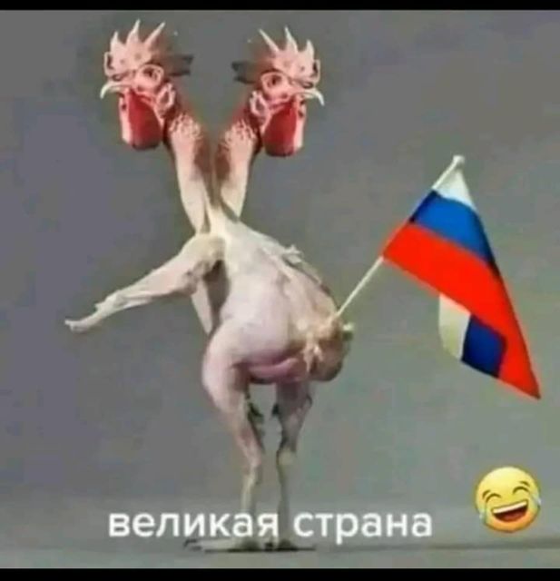 https://upforme.ru/uploads/000f/a0/99/91/316642.jpg