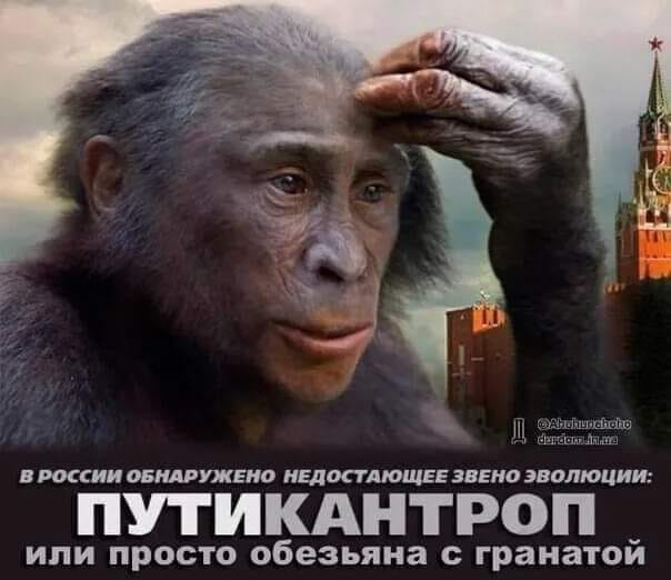 https://upforme.ru/uploads/000f/a0/99/91/332629.jpg
