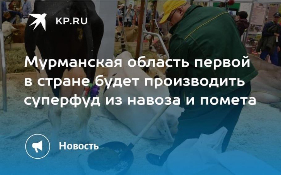 https://upforme.ru/uploads/000f/a0/99/91/671135.jpg