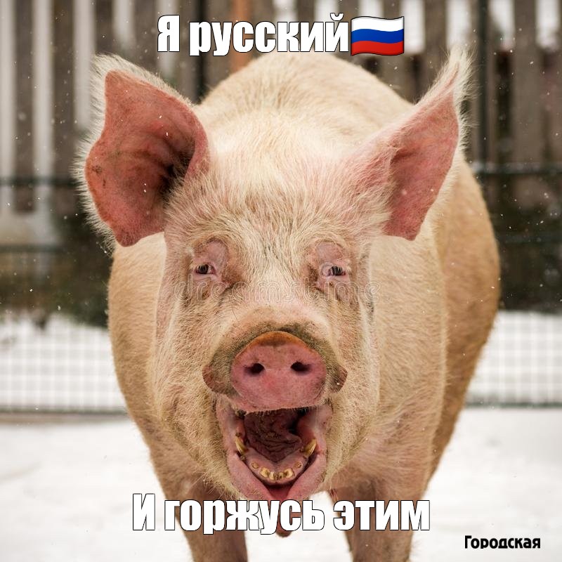 https://upforme.ru/uploads/000f/a0/99/91/75593.jpg