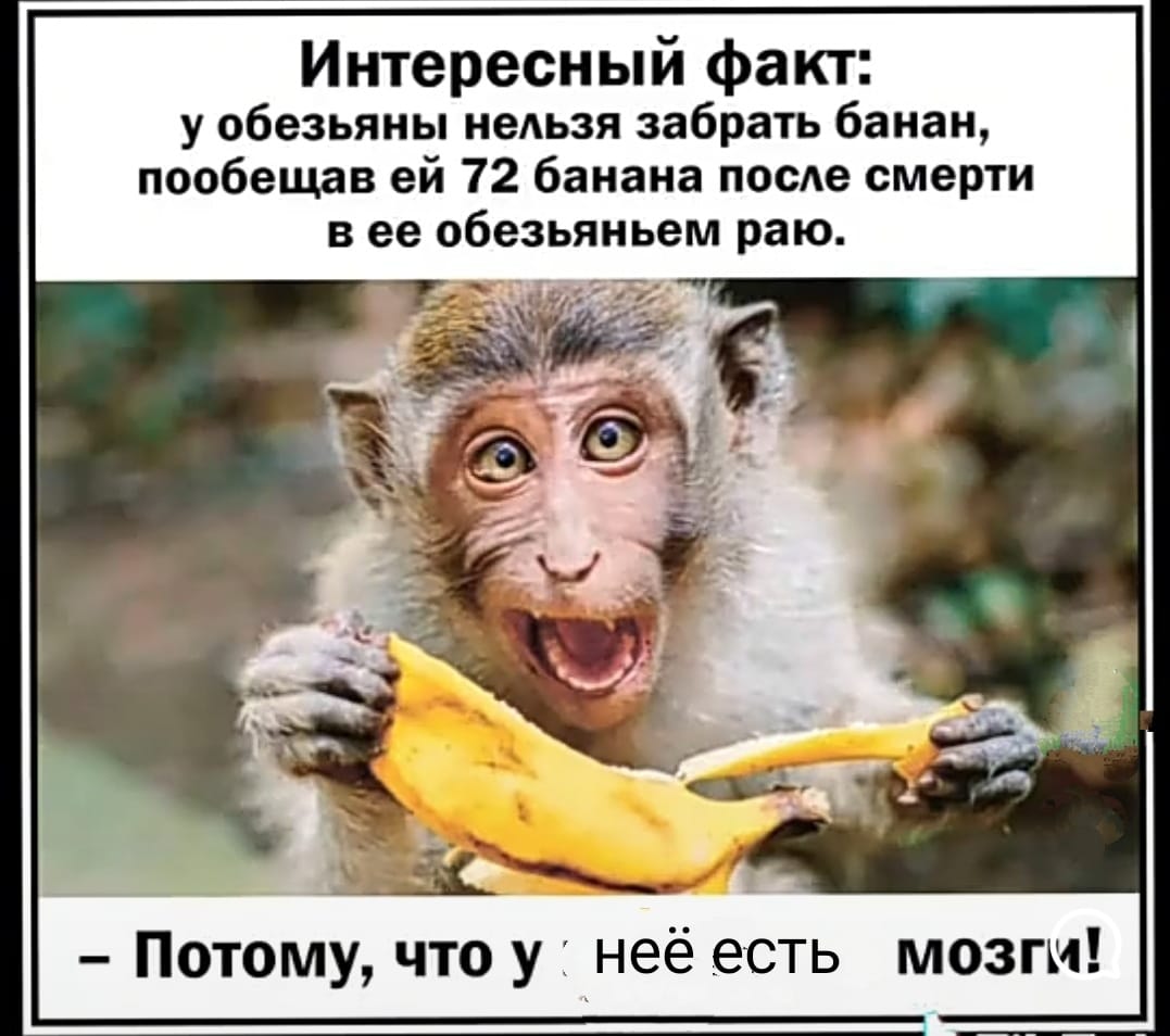 https://upforme.ru/uploads/000f/a0/99/91/82180.jpg