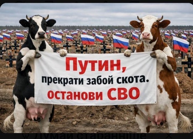 https://upforme.ru/uploads/000f/a0/99/91/850469.jpg