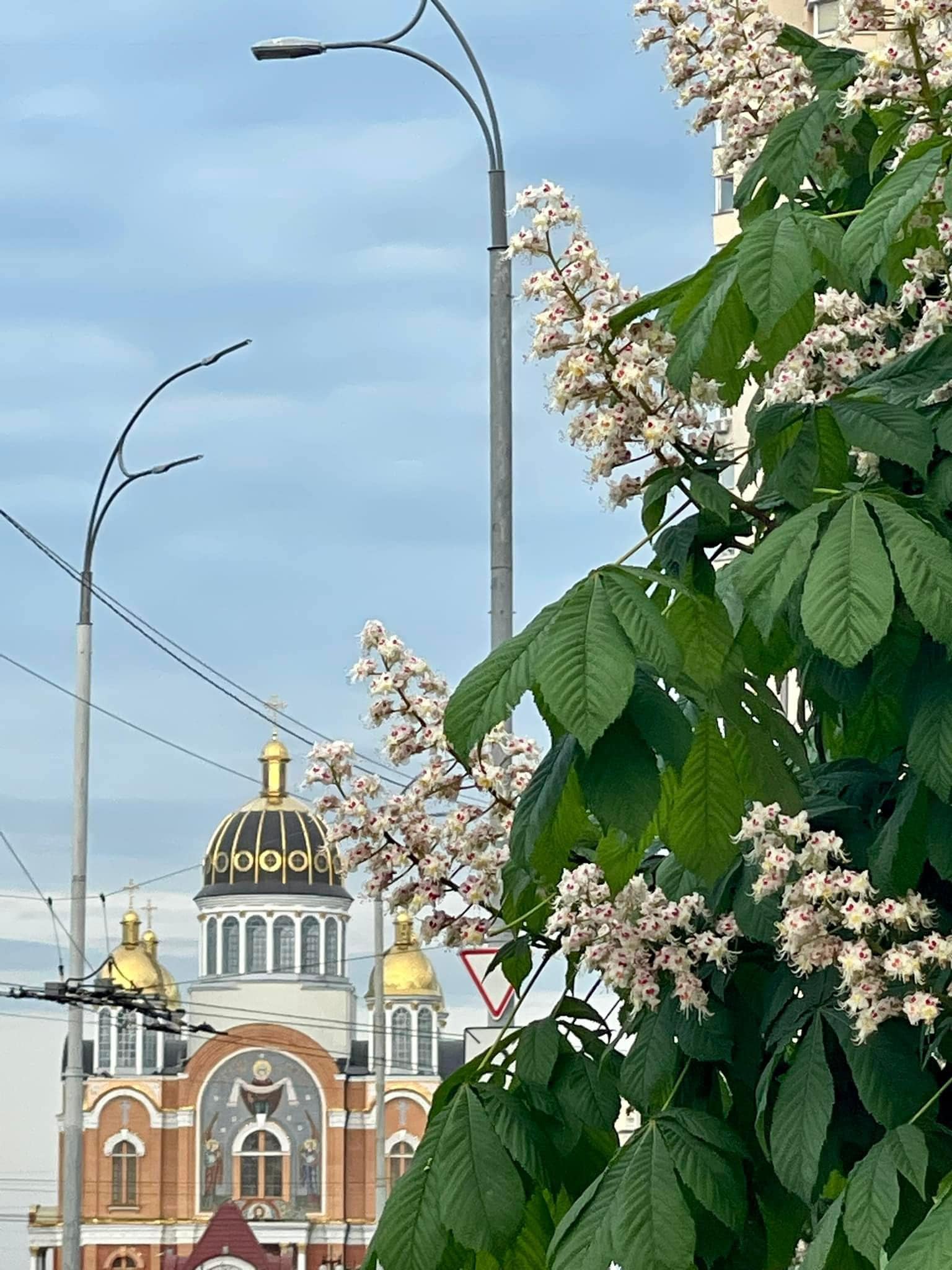 https://upforme.ru/uploads/000f/a0/99/91/974579.jpg