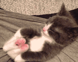 https://upforme.ru/uploads/000f/b9/e8/2/t315192.gif