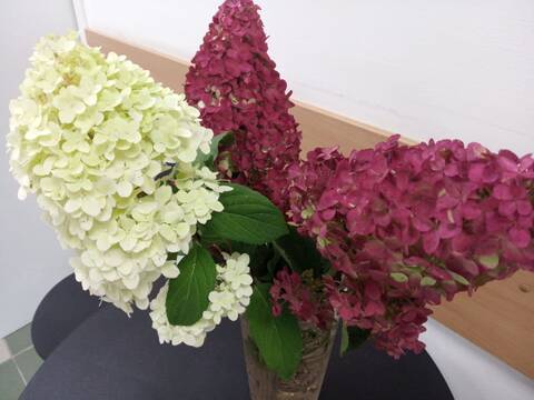 https://upforme.ru/uploads/000f/b9/e8/2/t561061.jpg