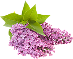 https://upforme.ru/uploads/000f/b9/e8/2/t561608.png